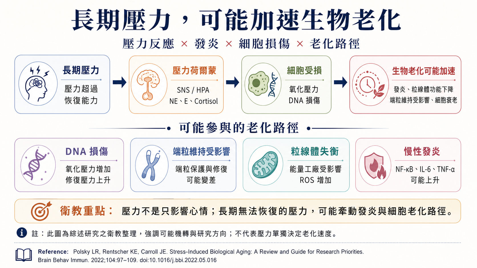 老化