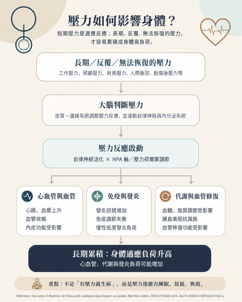 壓力調節與身心恢復 2 壓力中醫
